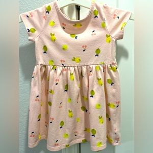 Cat & Jack Fruit Toddler Girl’s Pink Pullover Dress Lemons Limes Cherries 2T
